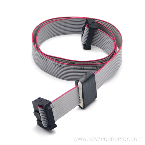 Flat Cable Connecting Wire With Magnetic Ring:FC12P (3)*2H Inner Length L=510mm